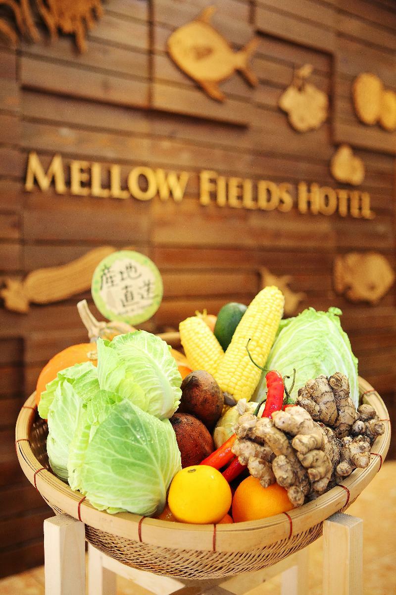 Mellow Fields Hotel Taipei Esterno foto